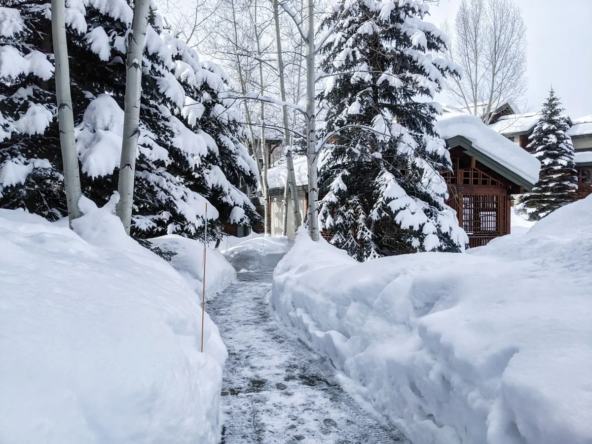 This image captures a snow-covered path winding through trees with a distant building visible, evoking the spirit of winter exploration. The tranquil setting suggests opportunities for walks, snowplay, or simple appreciation of the landscape.