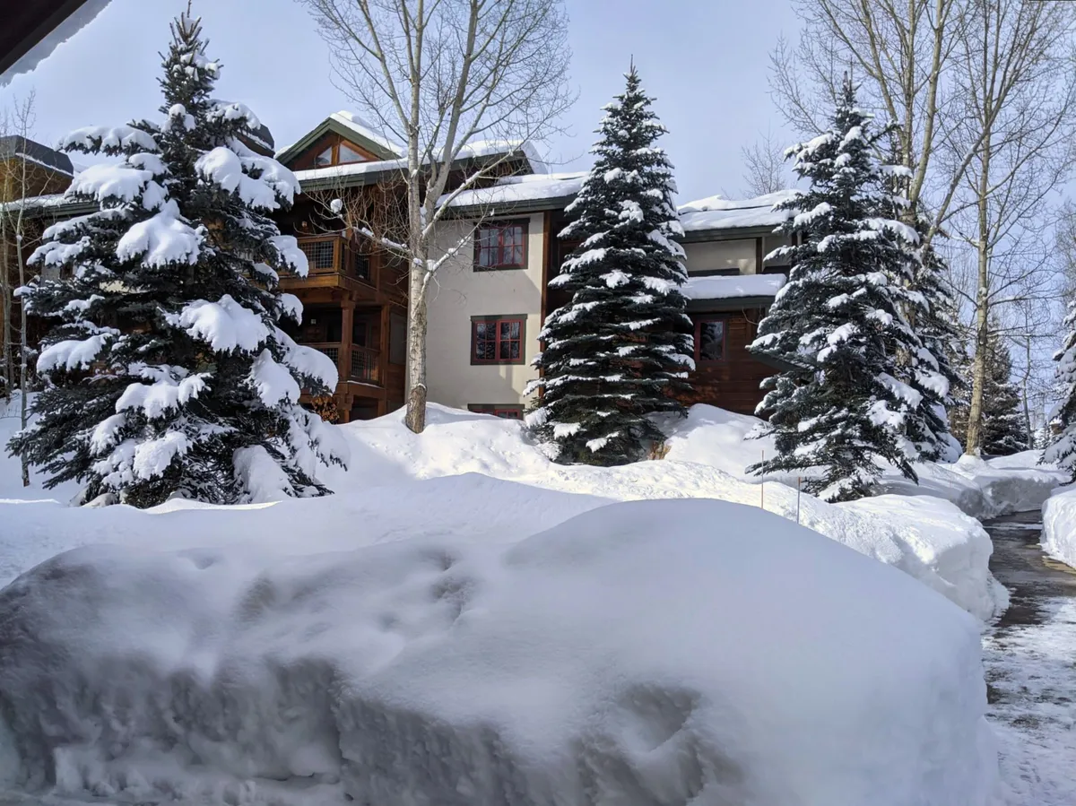 This image features the exterior of the building surrounded by snow-covered trees and a clear pathway leading up to the entrance. The snowy landscape creates a sense of winter adventure and highlights the property's accessibility during ski season. The welcoming facade and untouched snow evoke feelings of anticipation before a day on the slopes or a cozy return after skiing.